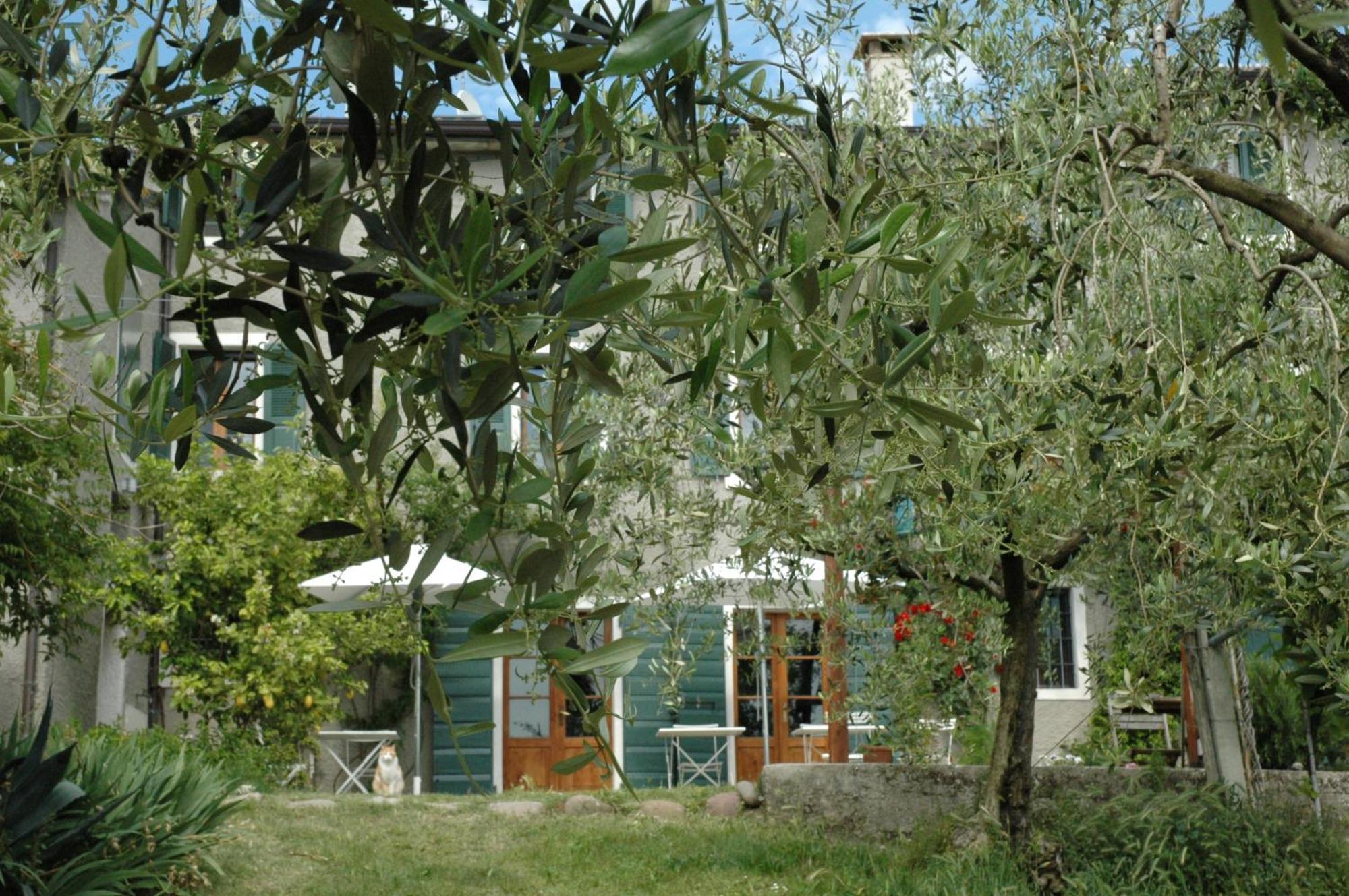 Agriturismo Tenuta la Pergola Bardolino Bagian luar foto