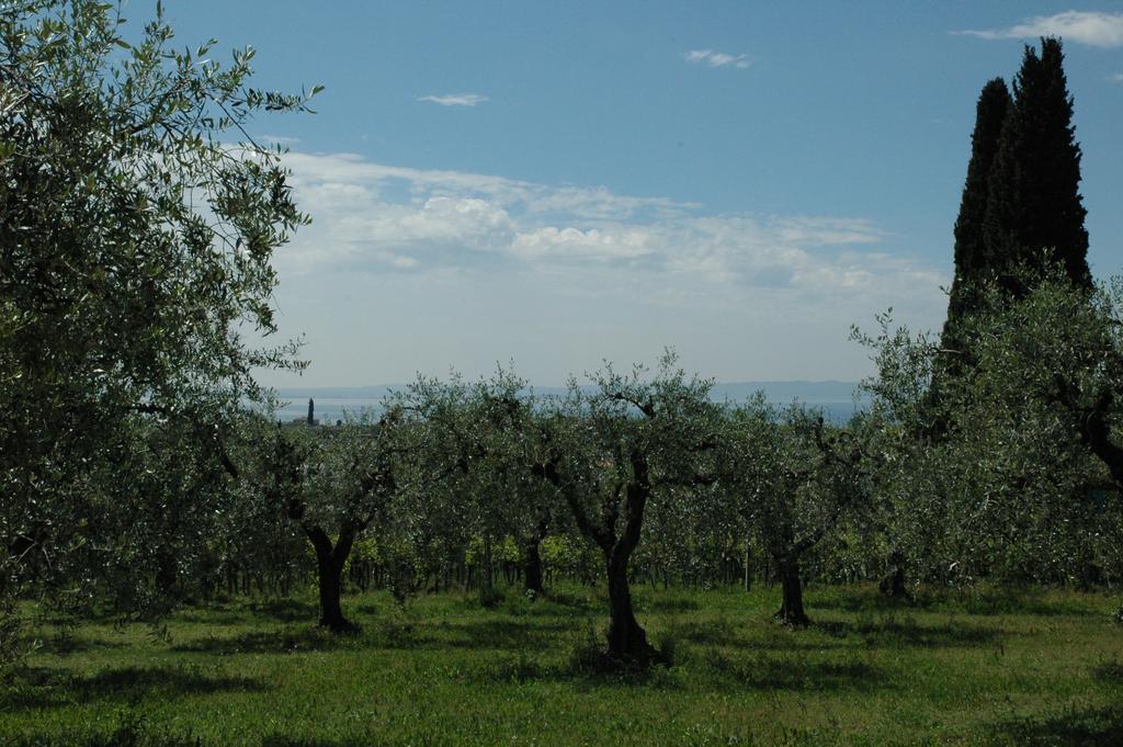 Agriturismo Tenuta la Pergola Bardolino Bagian luar foto