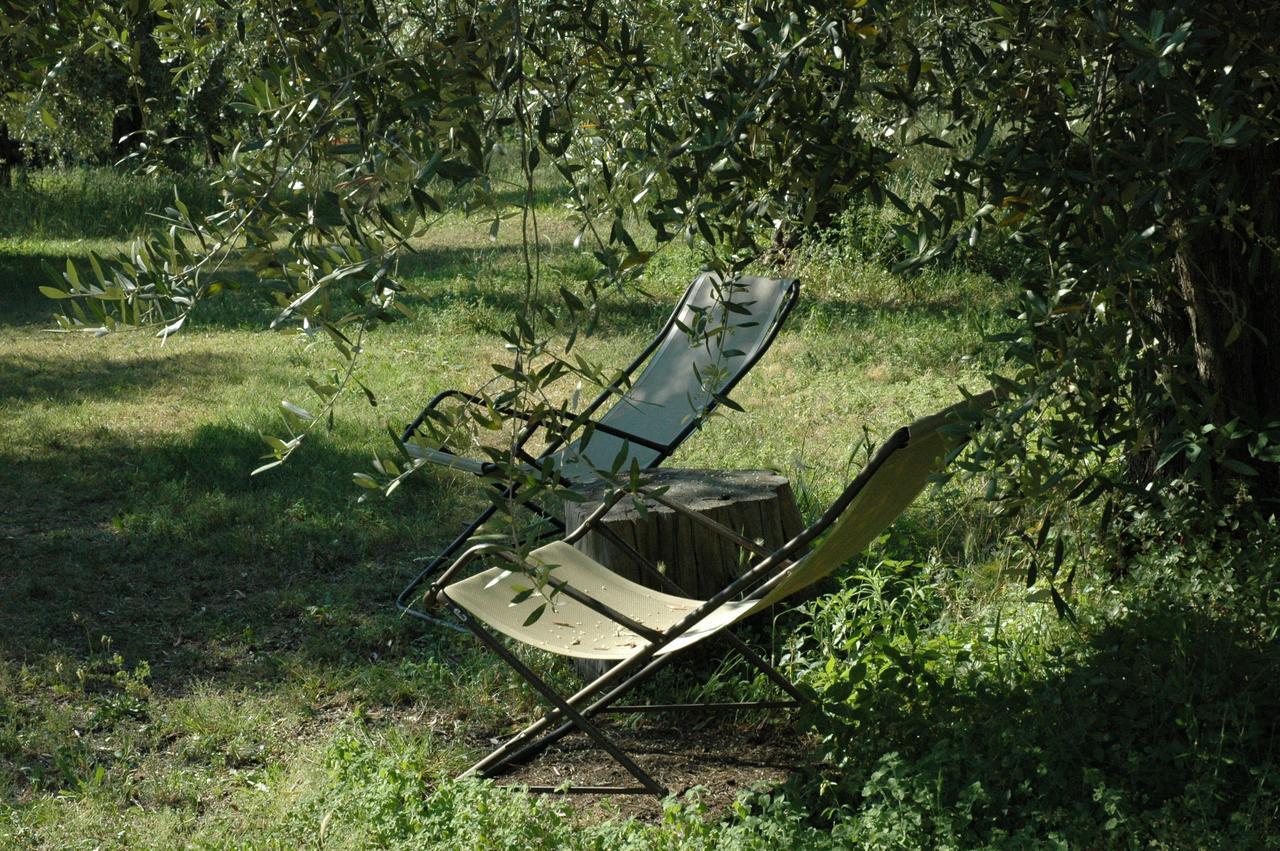 Agriturismo Tenuta la Pergola Bardolino Bagian luar foto