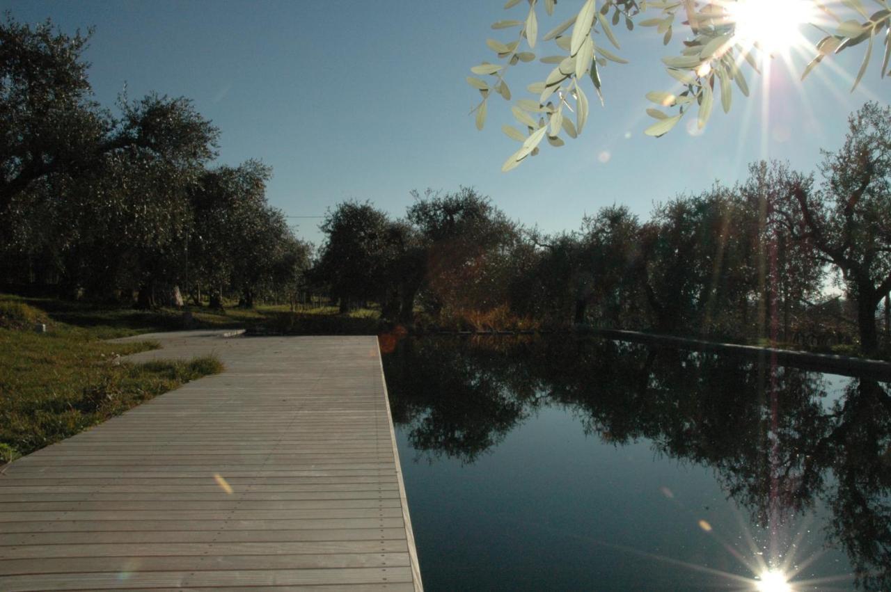 Agriturismo Tenuta la Pergola Bardolino Bagian luar foto